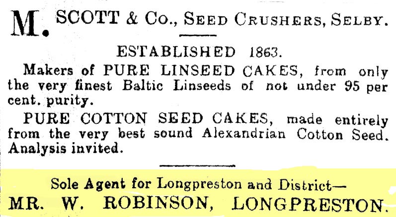 Business and Occupations   1882-11-11 CHWS.jpg